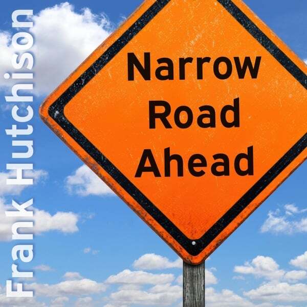 Cover art for Narrow Road Ahead