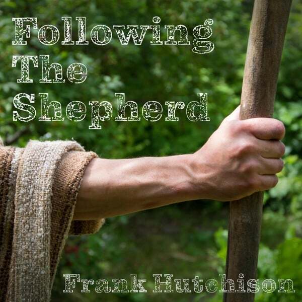 Cover art for Following the Shepherd